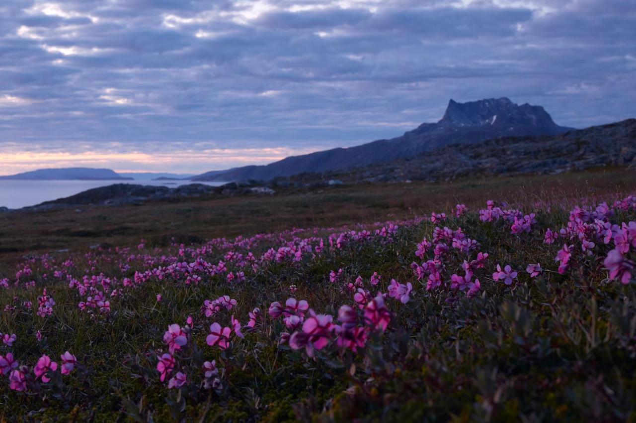 Hotel Nordbo Nuuk Exteriör bild